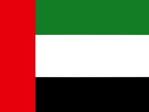 UAE(アラブ首長国連邦、ドバイ)向け文書の領事認証取得代行について【UAE大使館、公証、アポスティーユ】